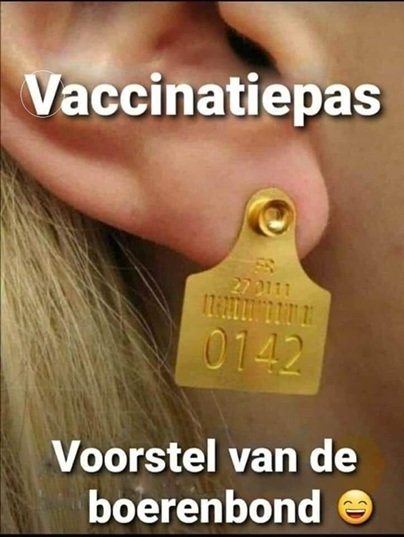 Humor.jpg