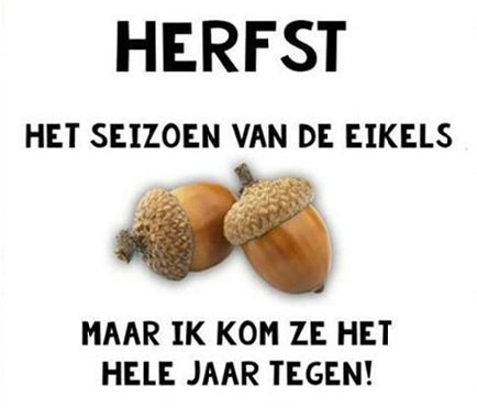 Humor.jpg