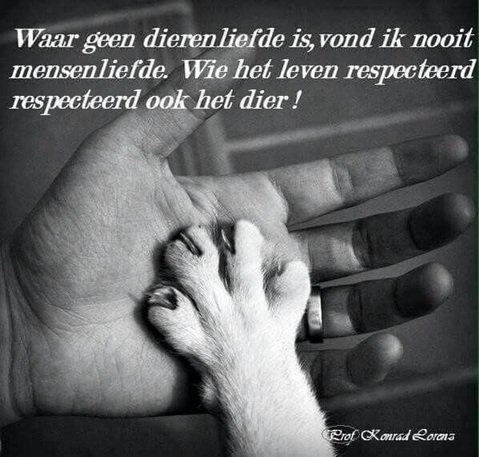 Juist.jpg