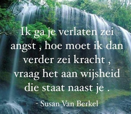 Mooi.jpg