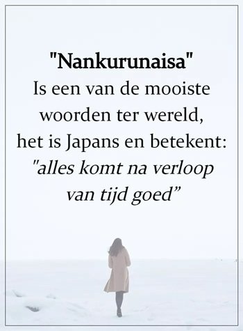 Mooi.jpg
