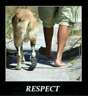 Respect.jpg