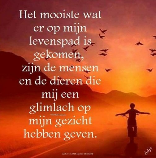 Juist.jpg