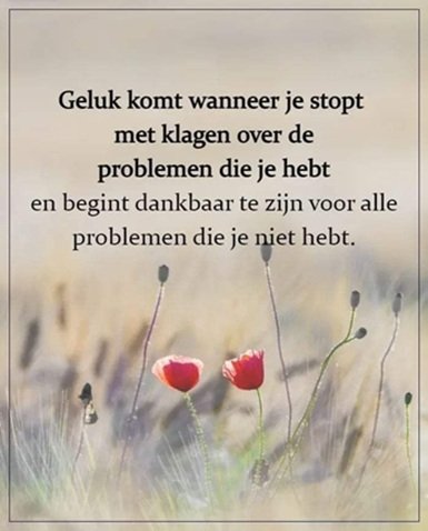 Juist.jpg