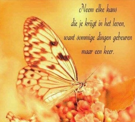 Juist.jpg