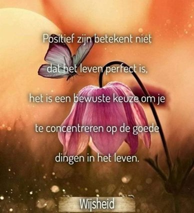 Wijsheid.jpg