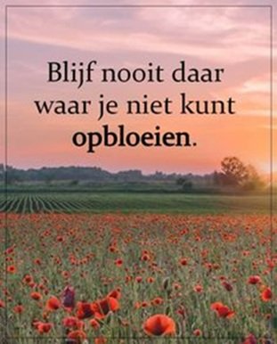 Juist.jpg