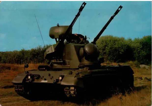 Gepard.jpg