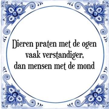 Juist.jpg