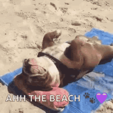 Naar het strand.gif