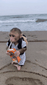Aapje.gif