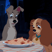 Spaghetti.gif