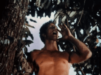 Tarzan.gif