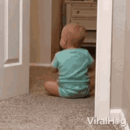 1.gif