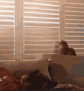 Bonne nuit.gif