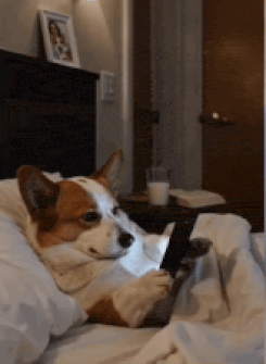 Bonne nuit.gif