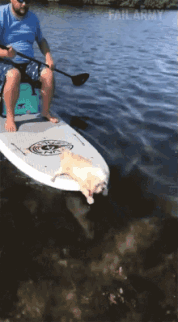 Oefenen.gif