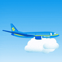 Vliegen.gif