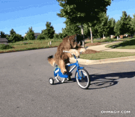 Fietsen.gif