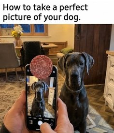 Foto..jpg
