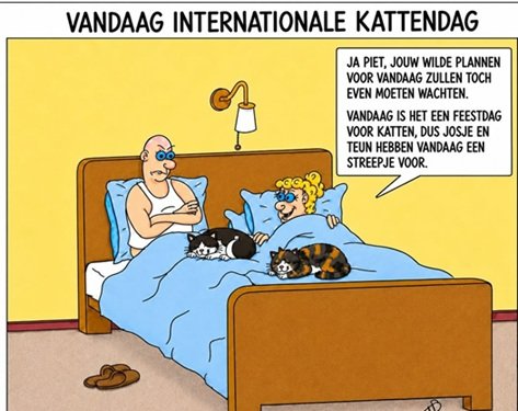 Humor.jpg