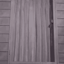 Cou cou.gif
