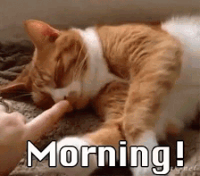 Goede morgen.gif
