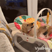 Spelen.gif
