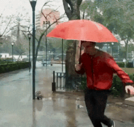 Regen.gif