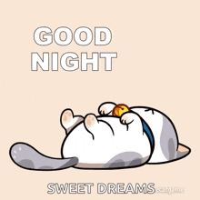 goodnight-good-night.gif