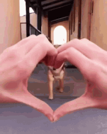 Love.gif