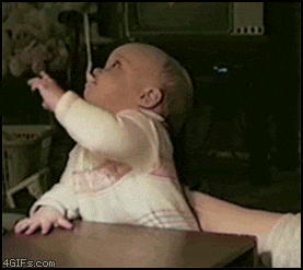 giphy (1).gif