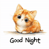 greeting-chaos-library.gif