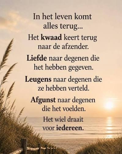 Het wiel.jpg