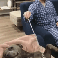 Relax ,.gif