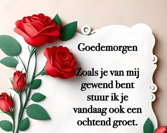 Afbeelding