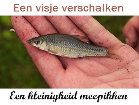 Afbeelding