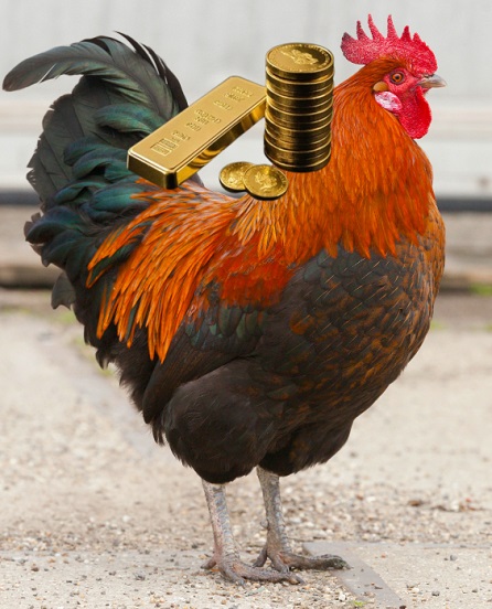 Afbeelding