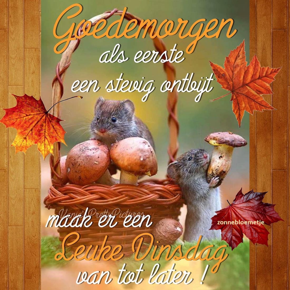 Afbeelding