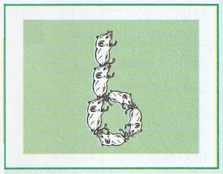 Afbeelding