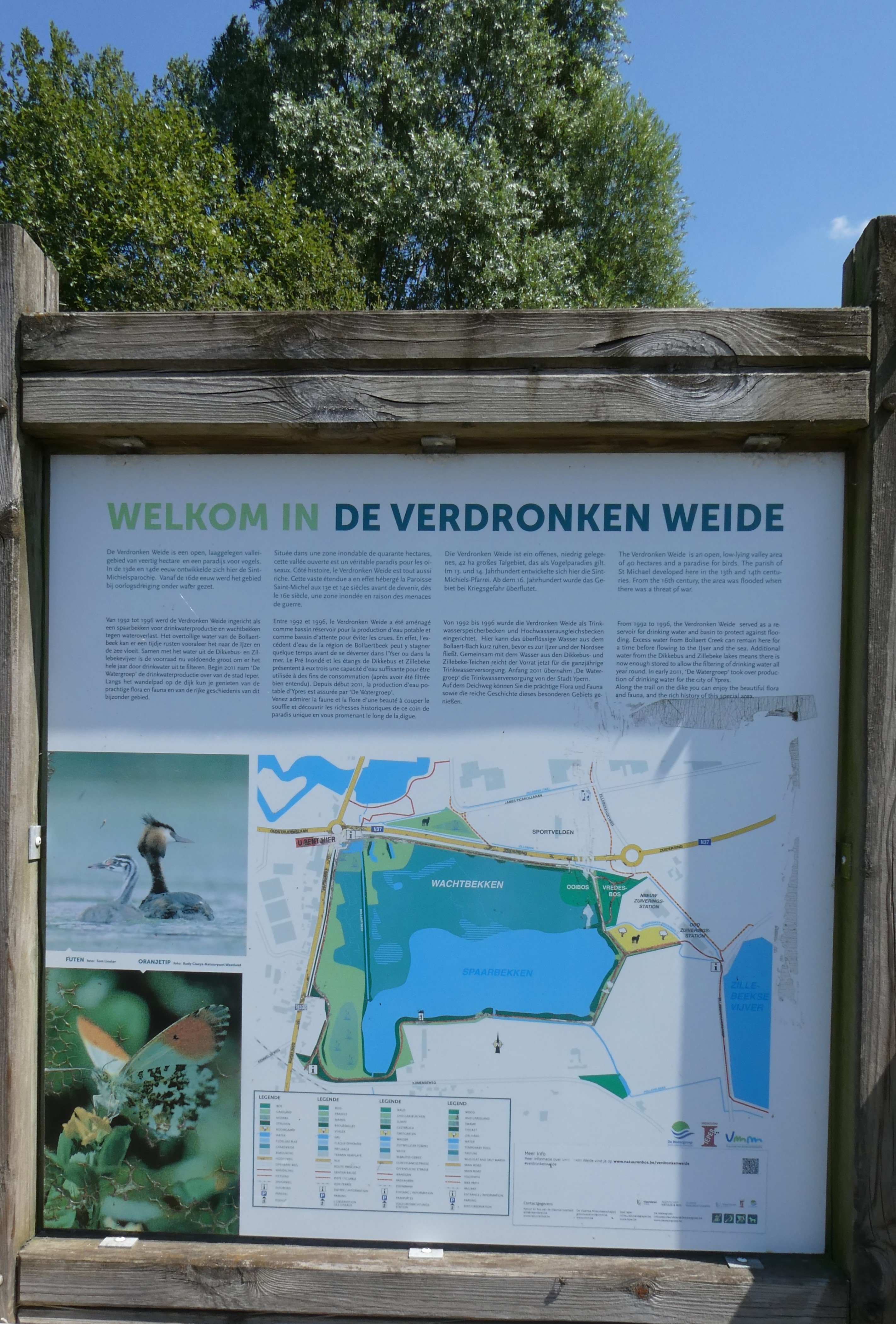 Afbeelding