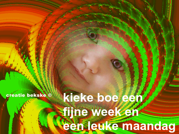 Afbeelding