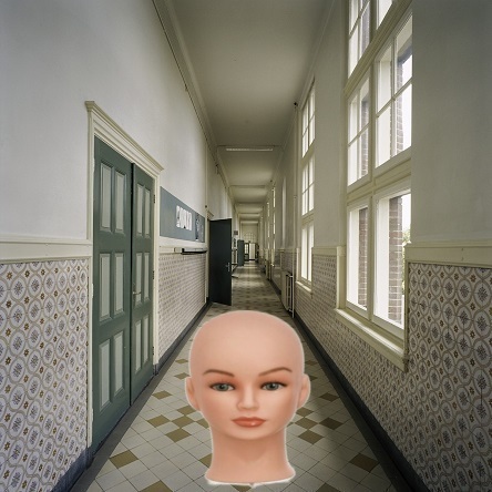 Afbeelding