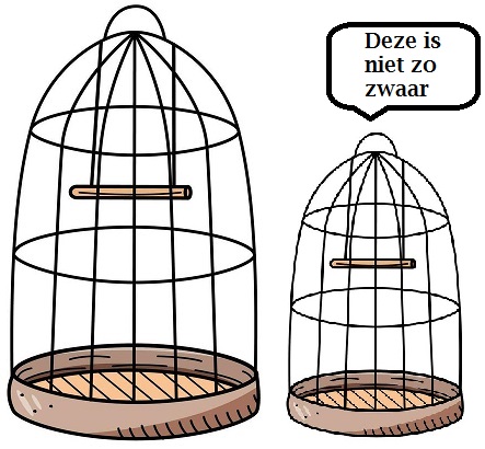 Afbeelding