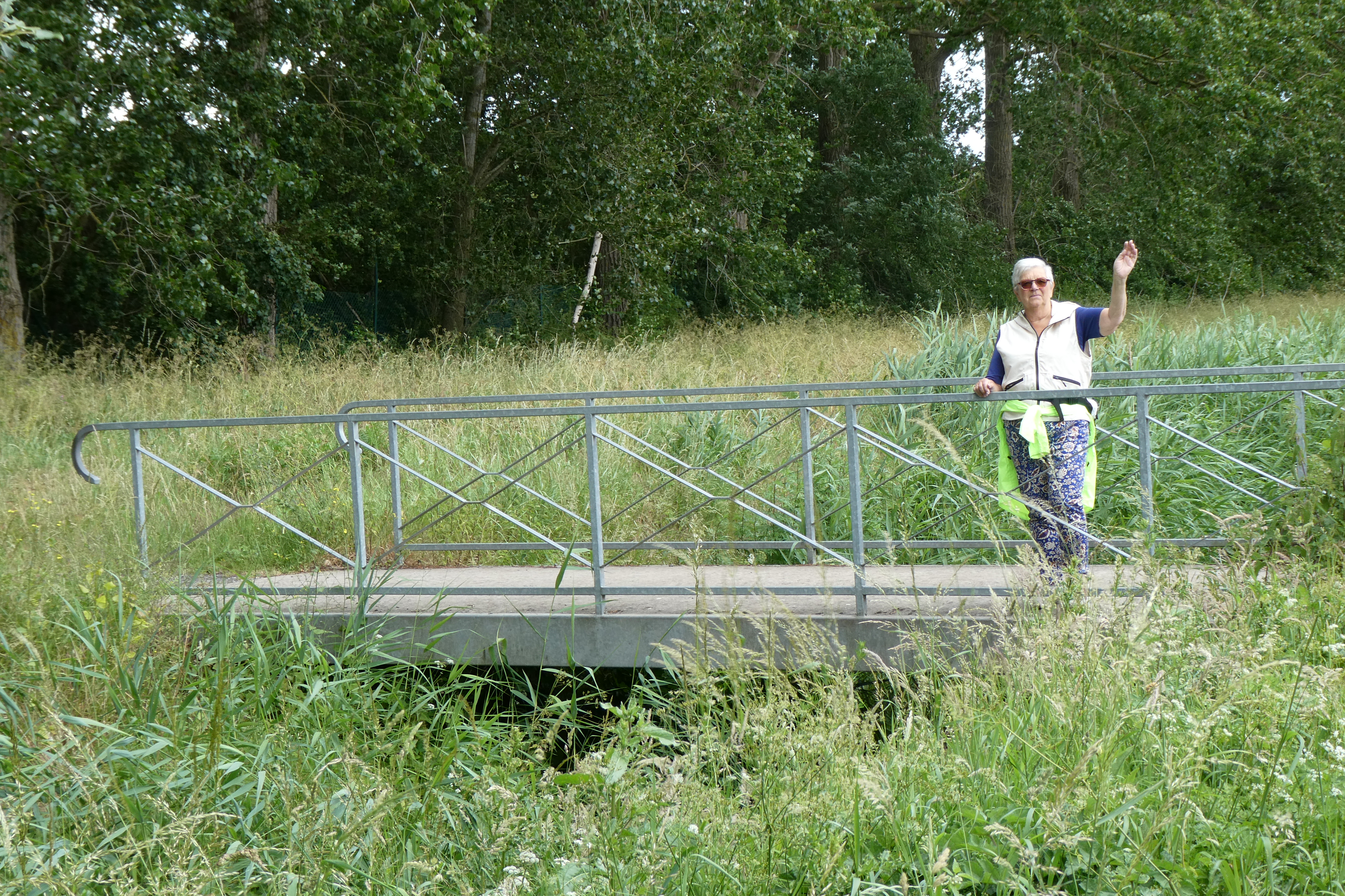 Afbeelding