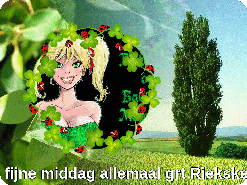 Afbeelding