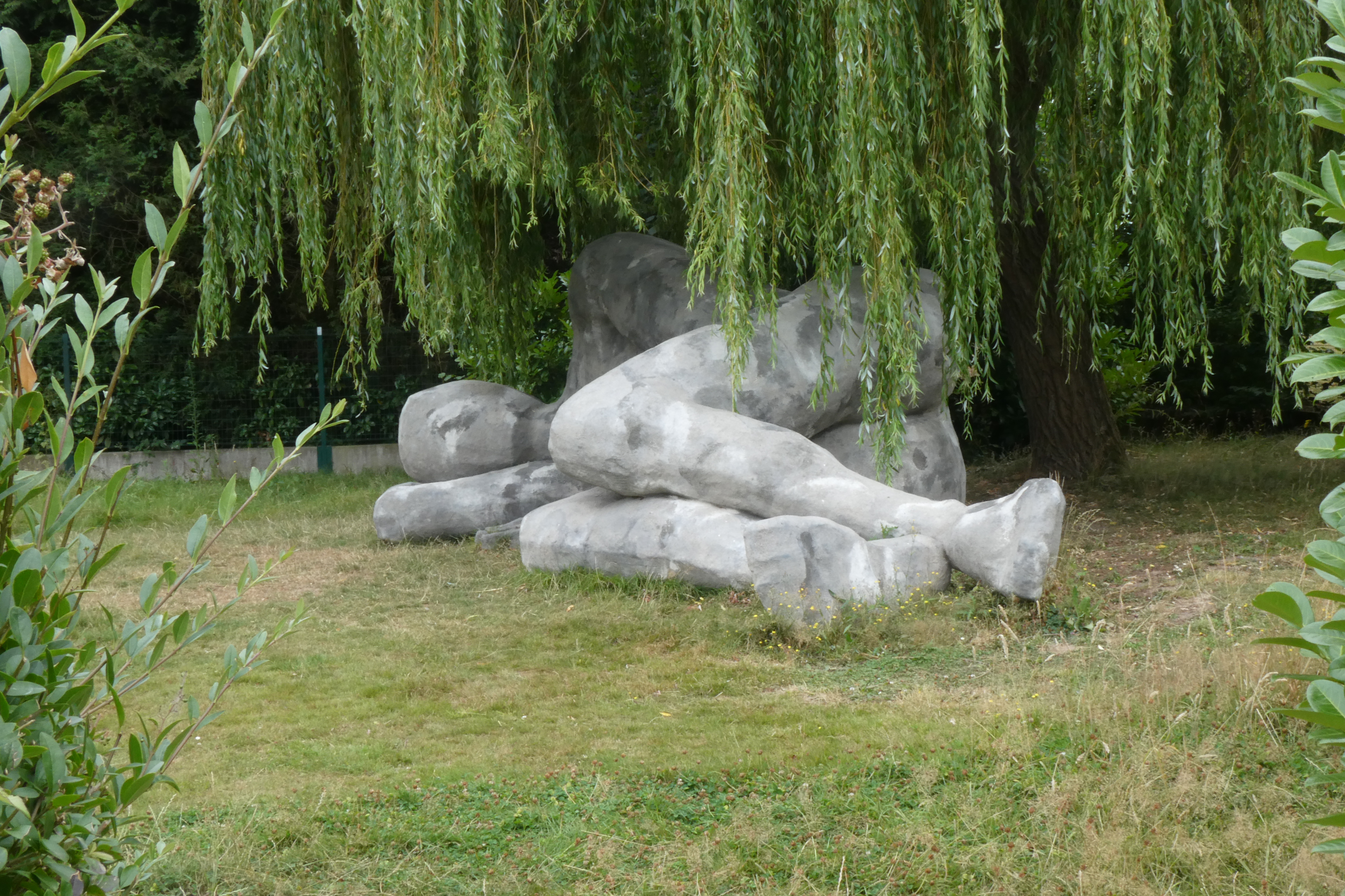 Afbeelding