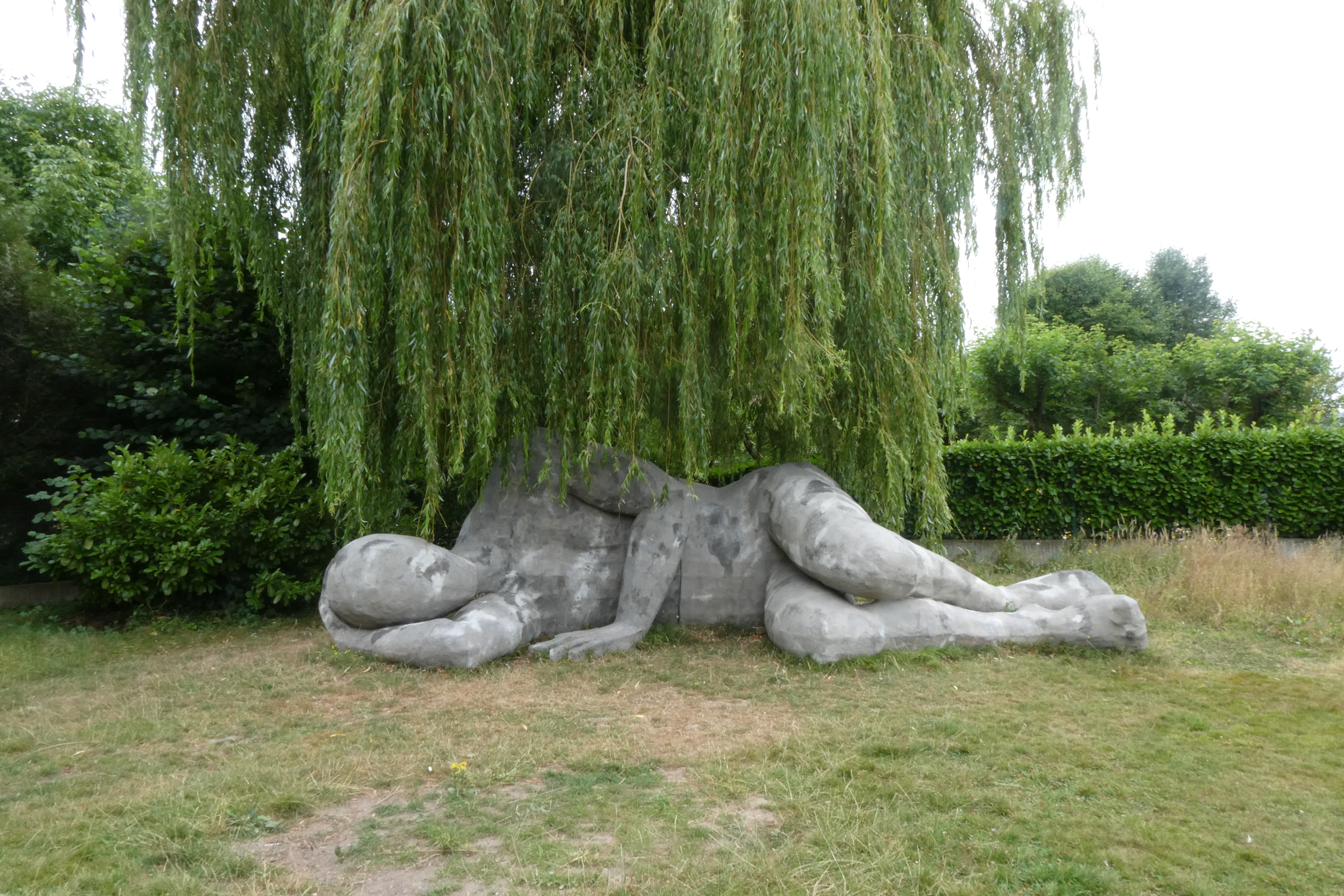 Afbeelding