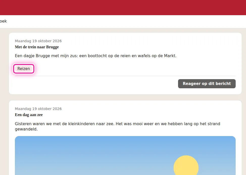Op je blog zien bezoekers onder het bericht bij welke categorie het hoort. De naam van de categorie staat in het roze kader op de afbeelding. Bezoekers kunnen op die naam klikken om meer berichten over hetzelfde onderwerp te lezen.