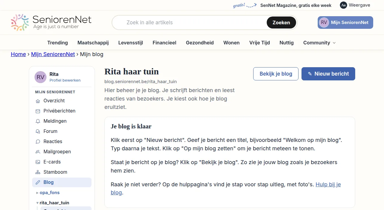 Je blog is klaar en je bent nu op de pagina waar je hem beheert. Bovenaan zie je de knop "Nieuw bericht". Klik daarop om de pagina te openen waar je je eerste bericht schrijft.
